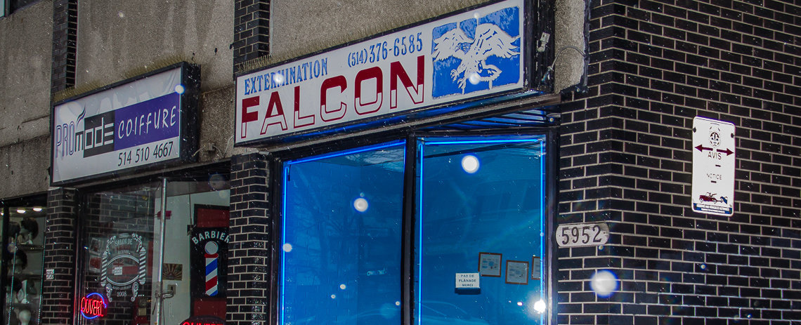 Extermination Falcon